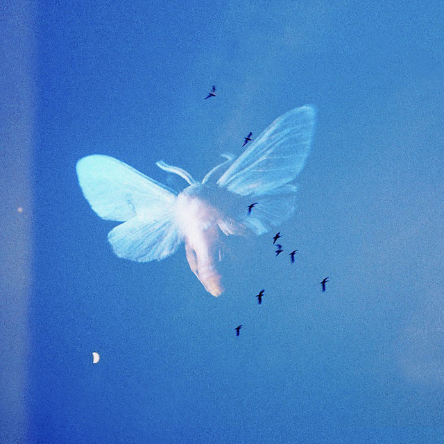 everything at once cover art