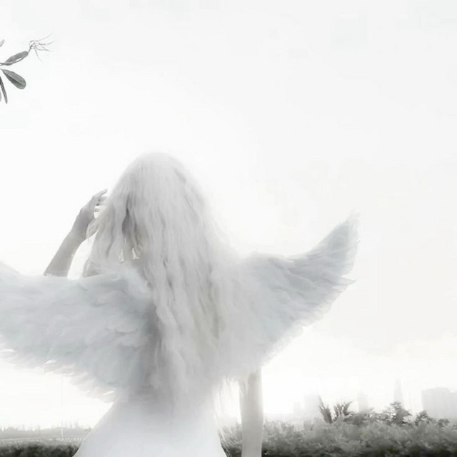 The Boy & The Seraphim cover art