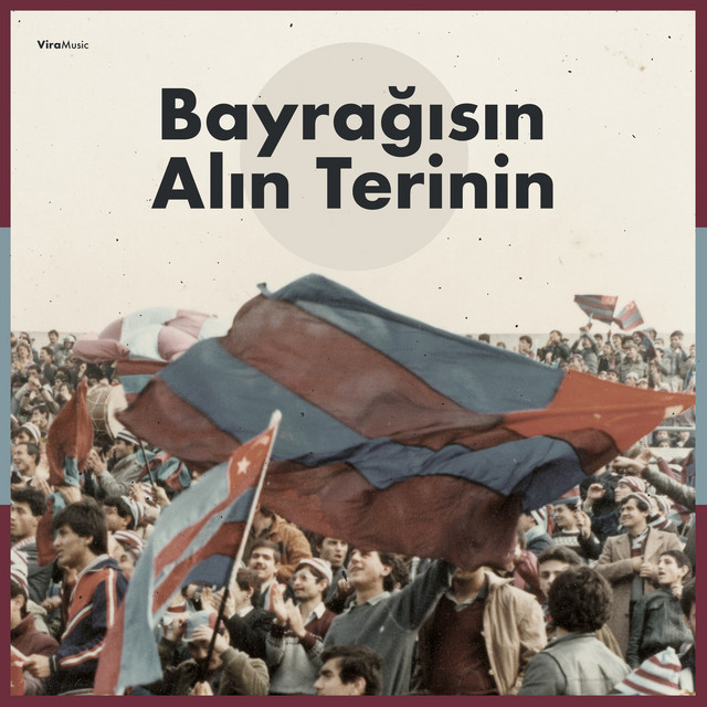 Bayrağısın Alın Terinin cover art