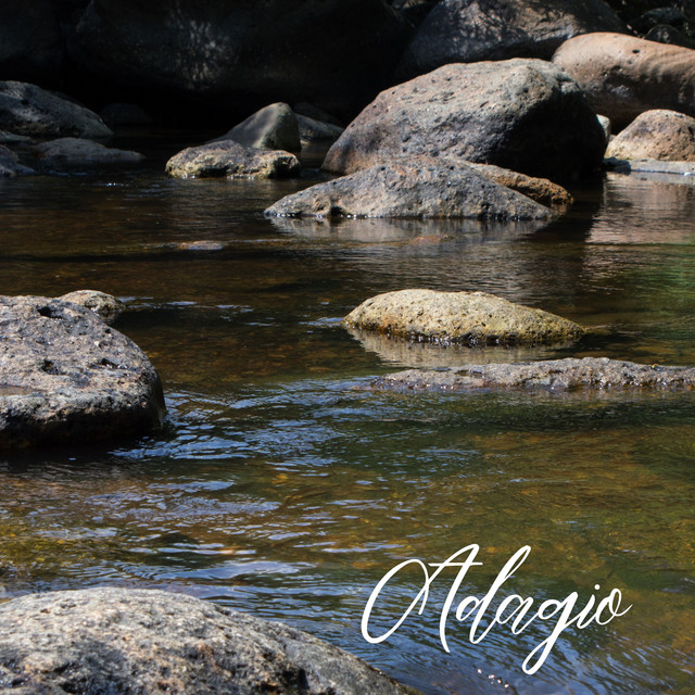 Artwork for Rondo Allegro Adagio - Allegro