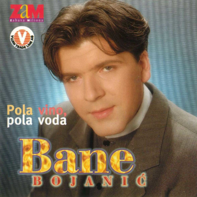 Pola vino, pola voda cover art