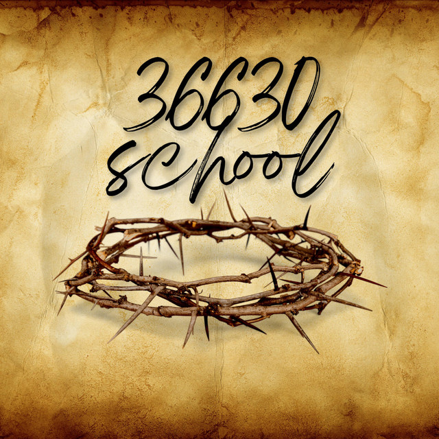 36630 SCHOOL cover art