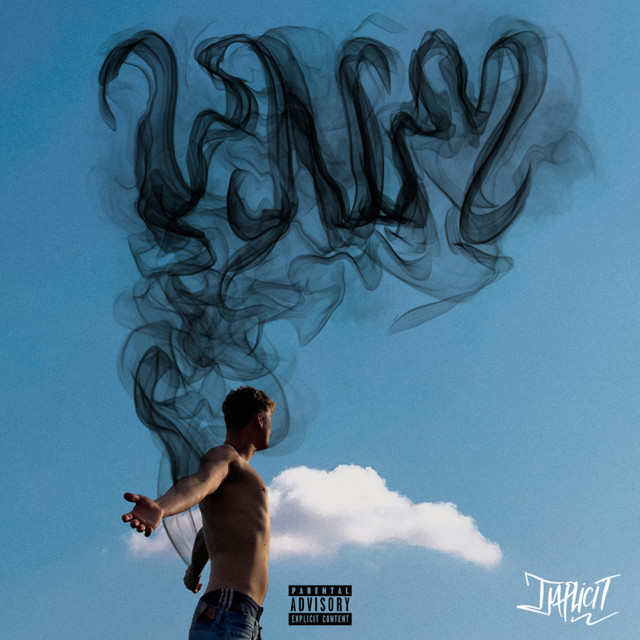 Virtually Never Mellow cover art