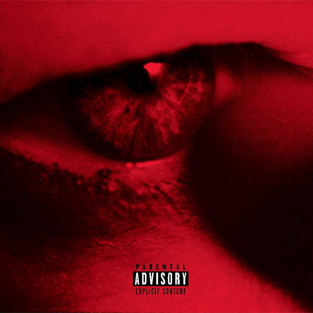 i seek light cover art