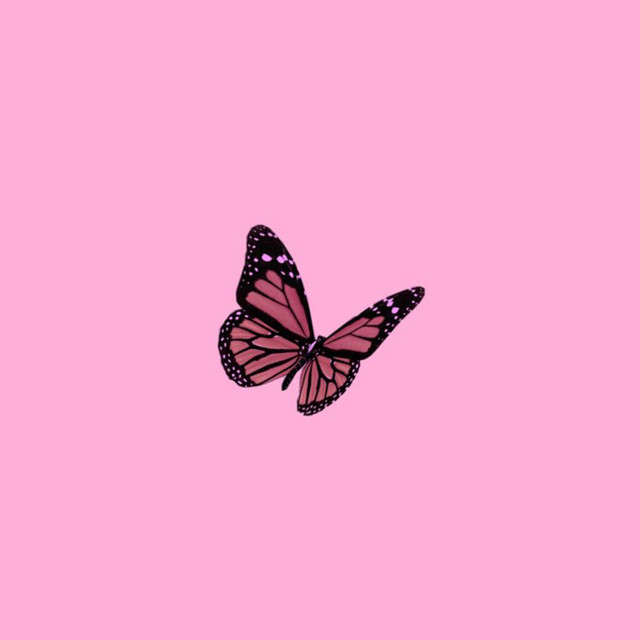 Adore (Instrumental) cover art