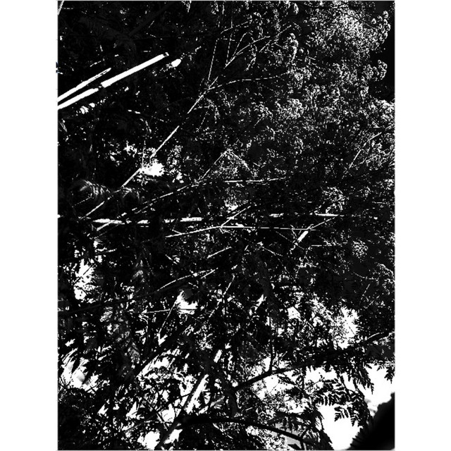 Constant Repeat cover art