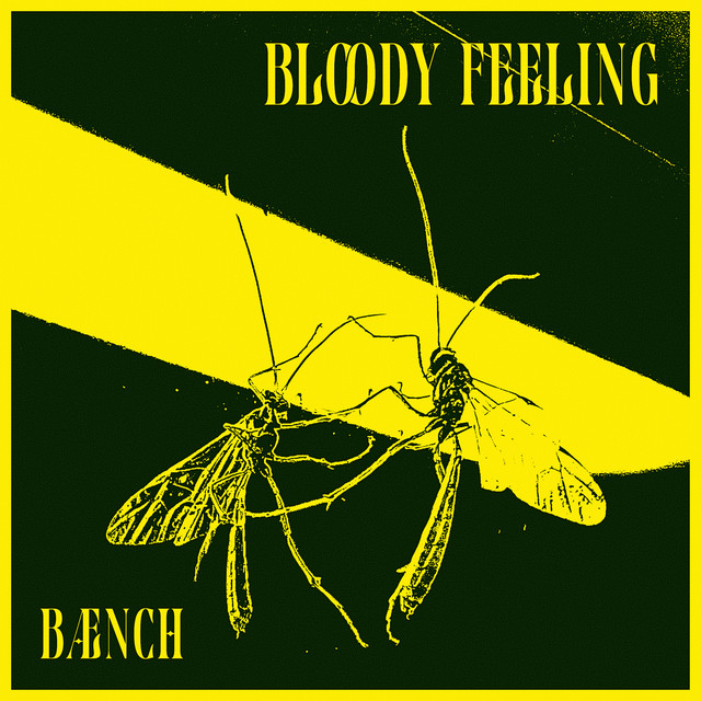Bloody Feeling album image