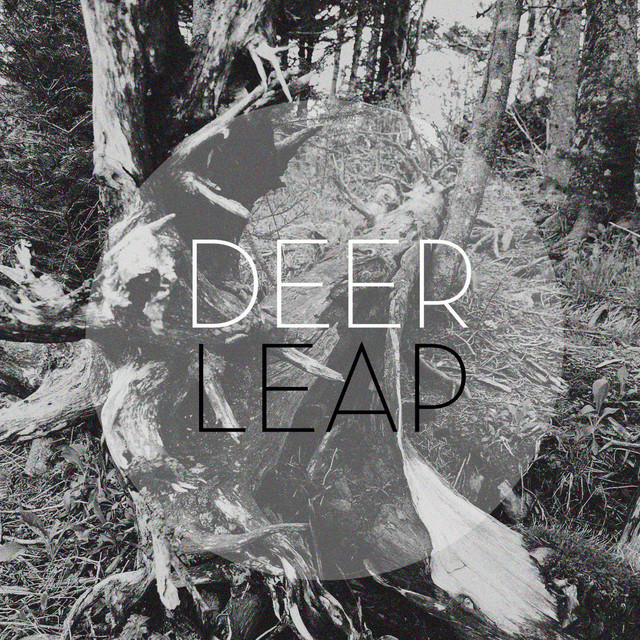 Here. Home. cover art