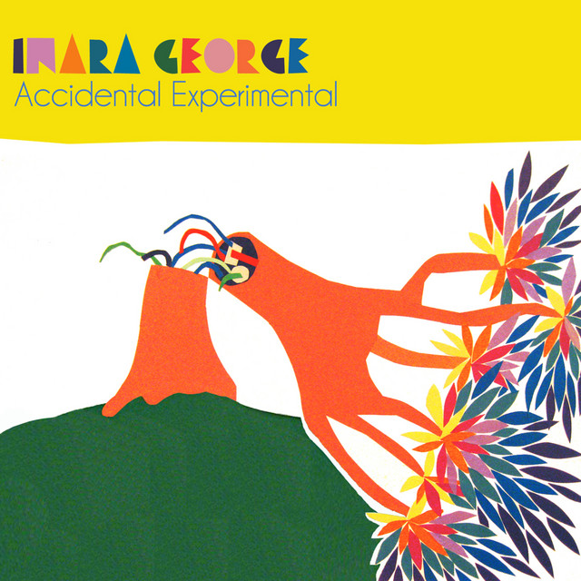 Accidental Experimental cover art
