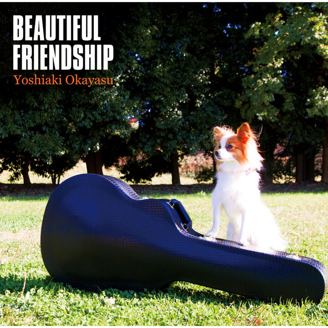 BEAUTIFUL FRIENDSHIP cover art
