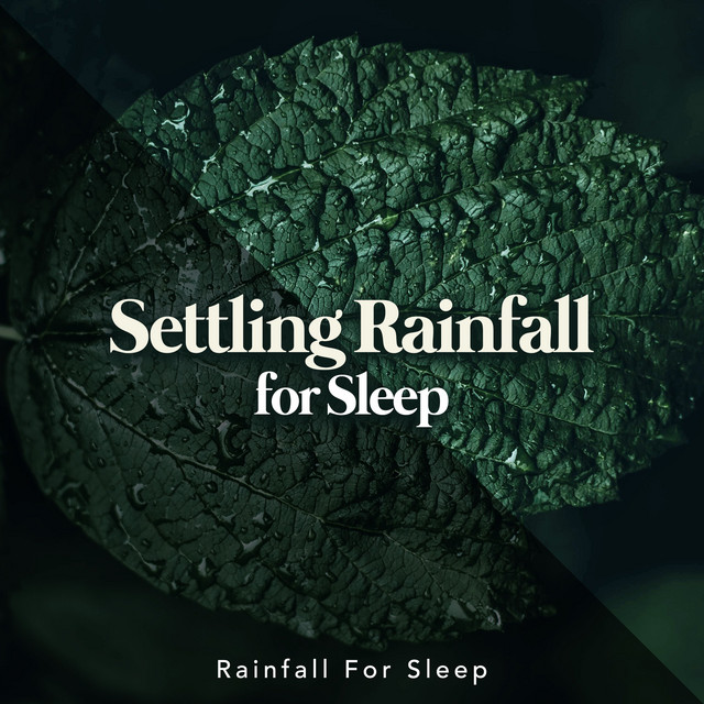 Settling Rainfall for Sleep cover art