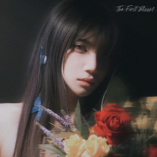 Bloom cover art