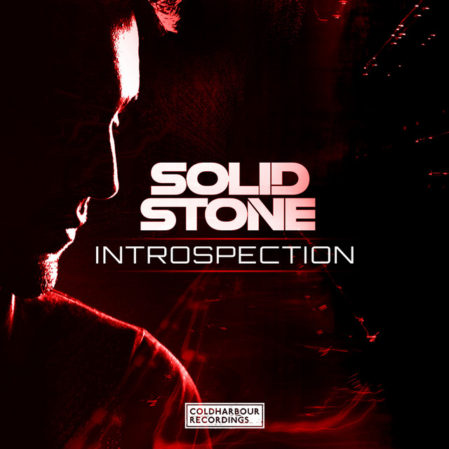 Introspection cover art