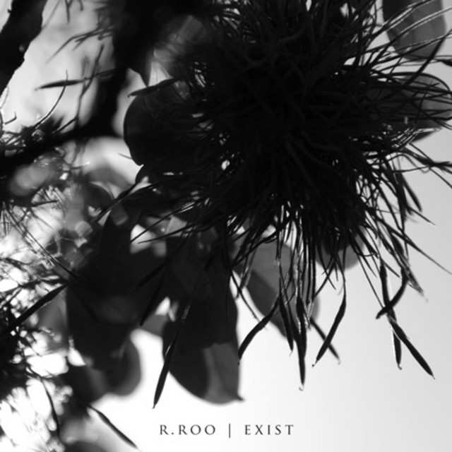 Exist cover art