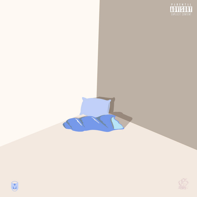 N.S.L.T. cover