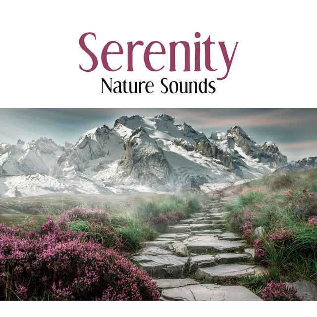 Deep Meditation - song and lyrics by Relaxing Music | Spotify