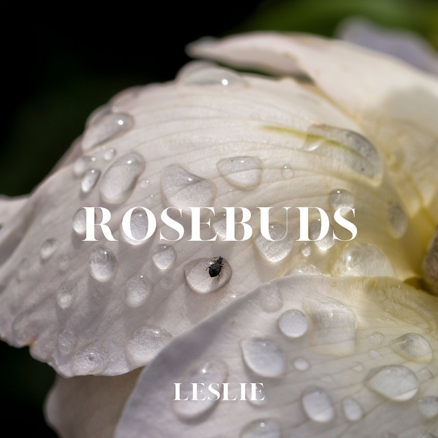 Rosebuds cover art