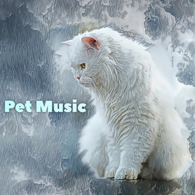 Pet Music cover art