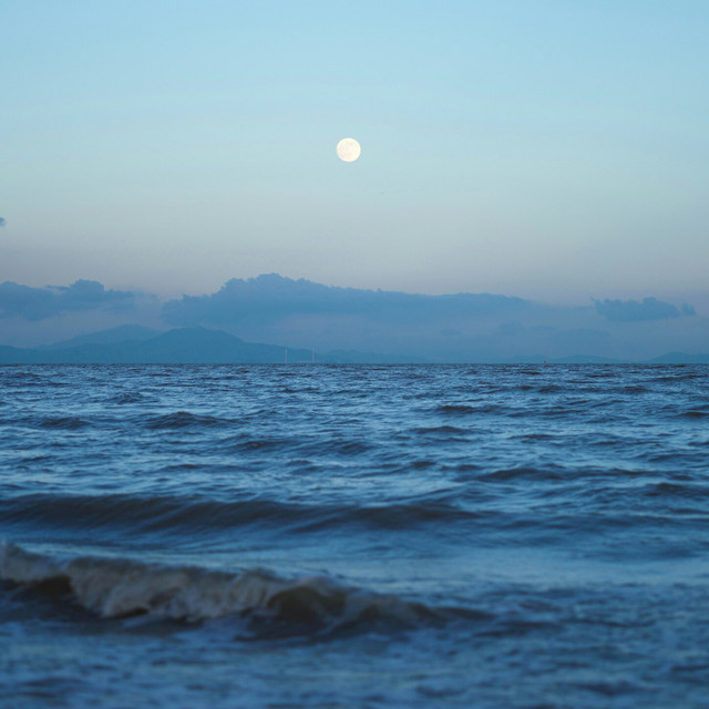 Dissolve in Dreams
