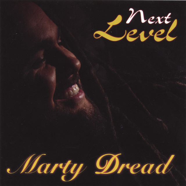 Next Level cover art