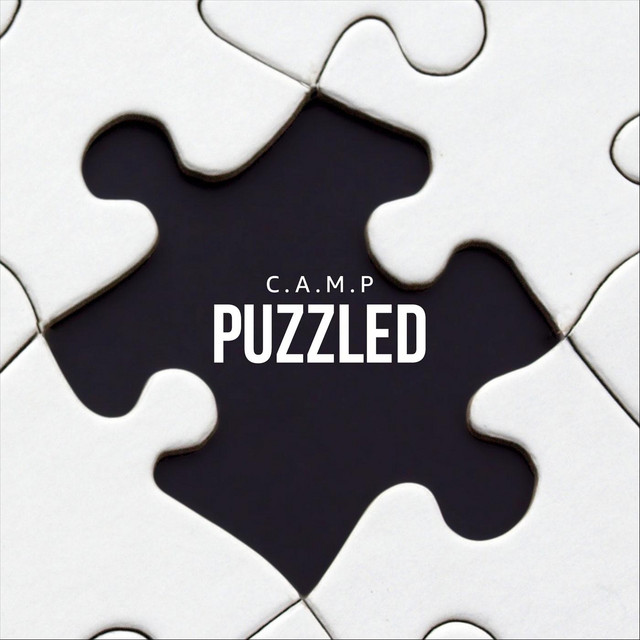 Puzzled cover art