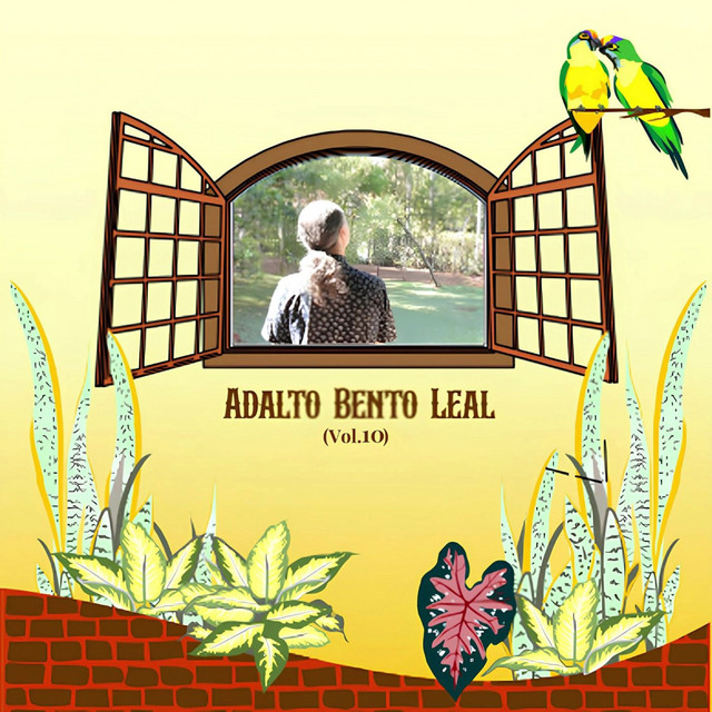 Janela (Vol.10)