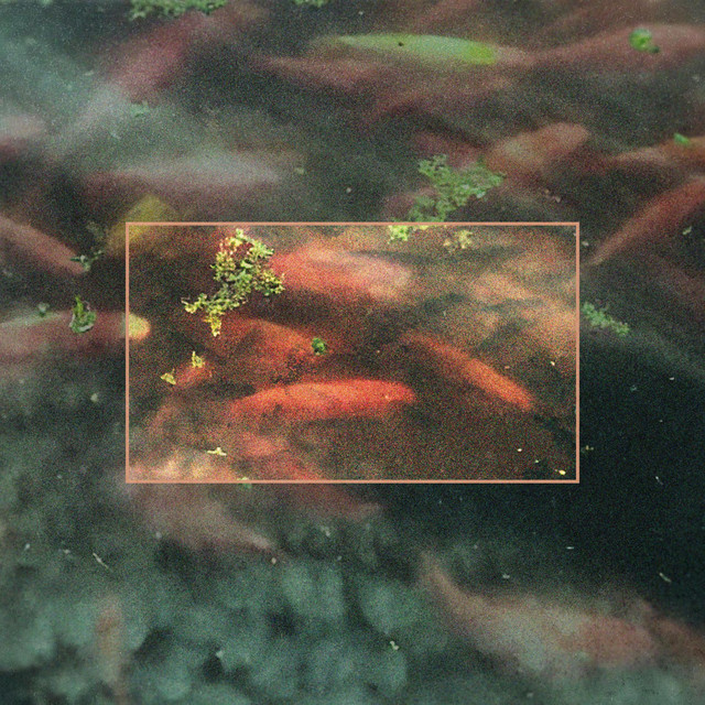 AN ESSAY ON EVERYTHING THAT MATTERS cover art