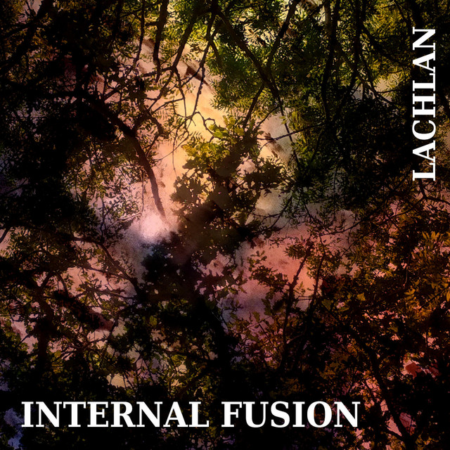Internal Fusion Photo