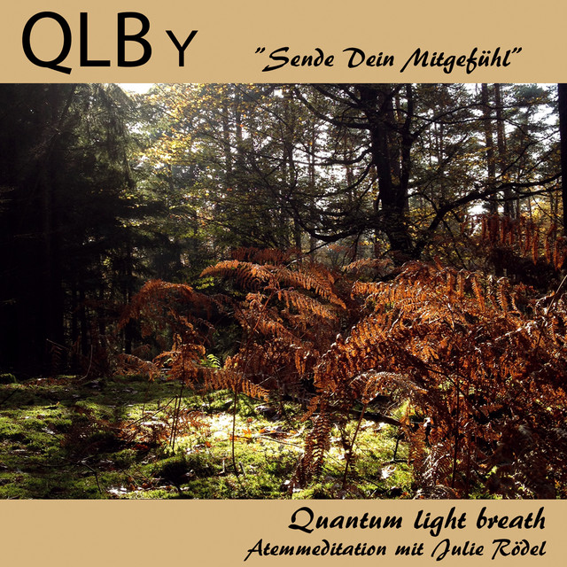 QLB-Y "Sende Dein Mitgefühl" cover art