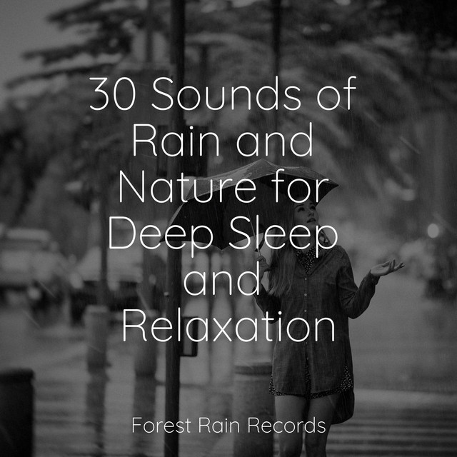30 Sounds of Rain and Nature for Deep Sleep and Relaxation - Album by ...
