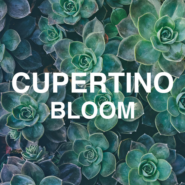 Bloom cover art