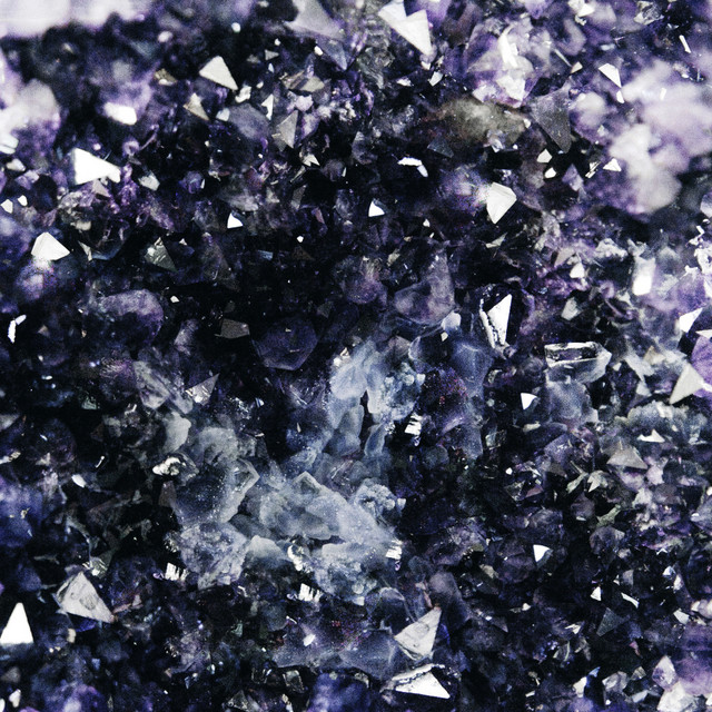 Purple cover art
