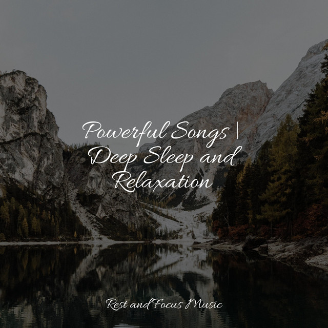 30 Relaxing Sounds for Spa & Looping - Album by Kings of Nature | Spotify
