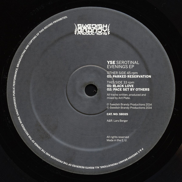 Pace Set By Others - Original Mix cover art