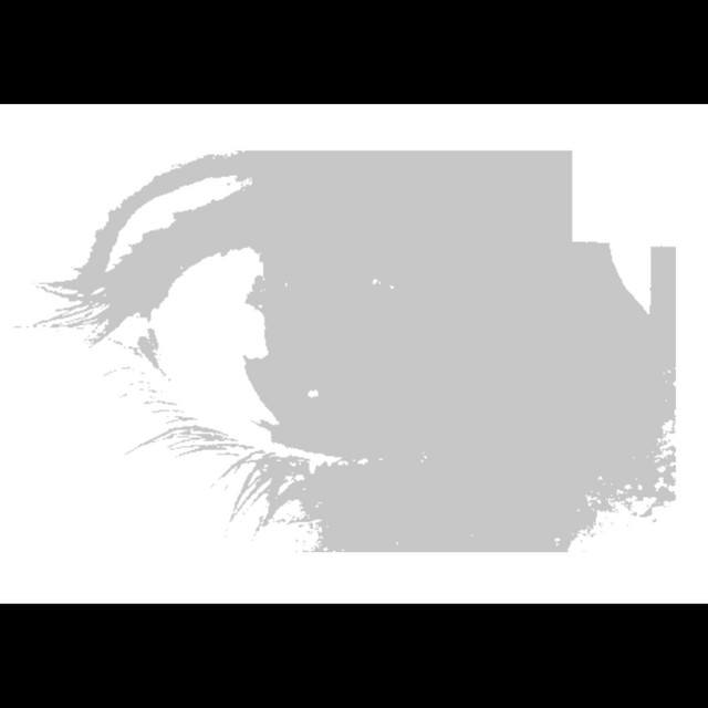 Evil Eyes cover art