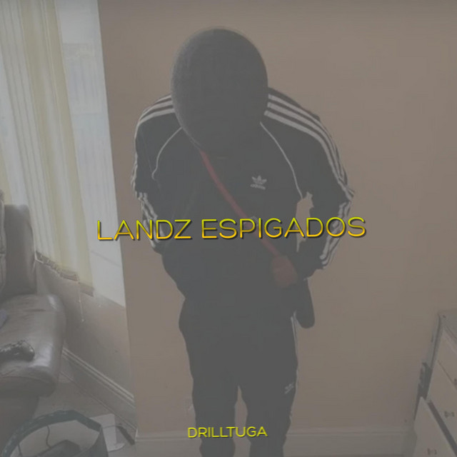 LANDZ ESPIGADOS cover art