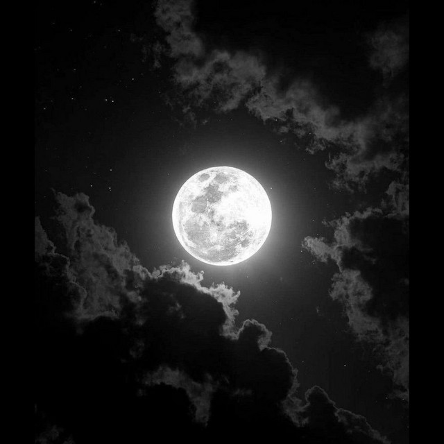 moon gazing cover art