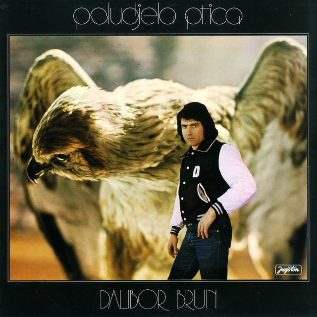 Poludjela Ptica cover art