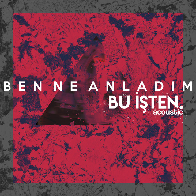 ben ne anladım bu işten.