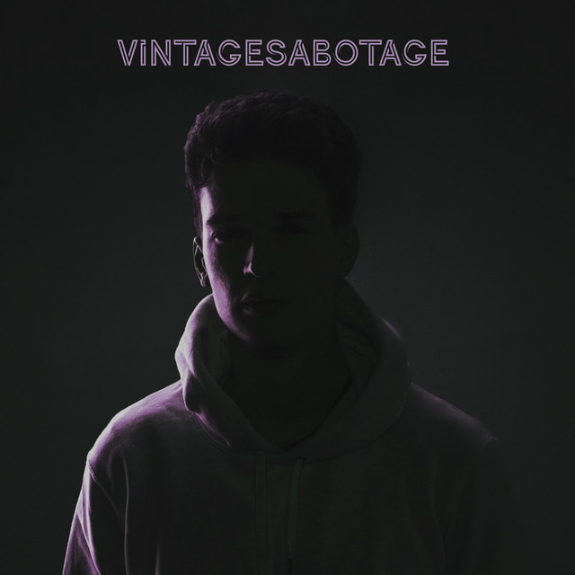 Vintagesabotage cover
