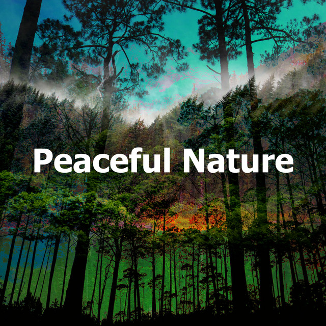 Peaceful Nature - Album by Forest Sounds | Spotify