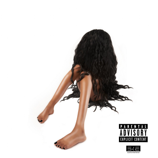 Bundles cover art