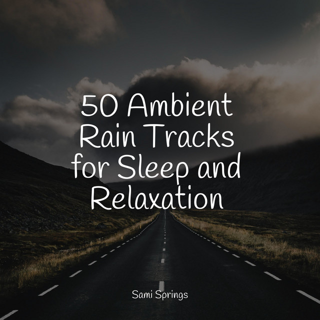 50 Ambient Rain Tracks for Sleep and Relaxation - Album by Música Zen ...
