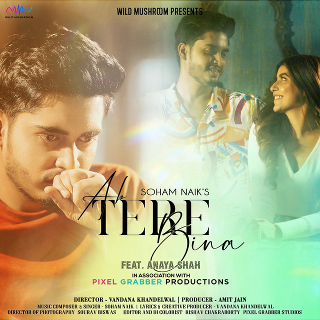 Ab Tere Bina