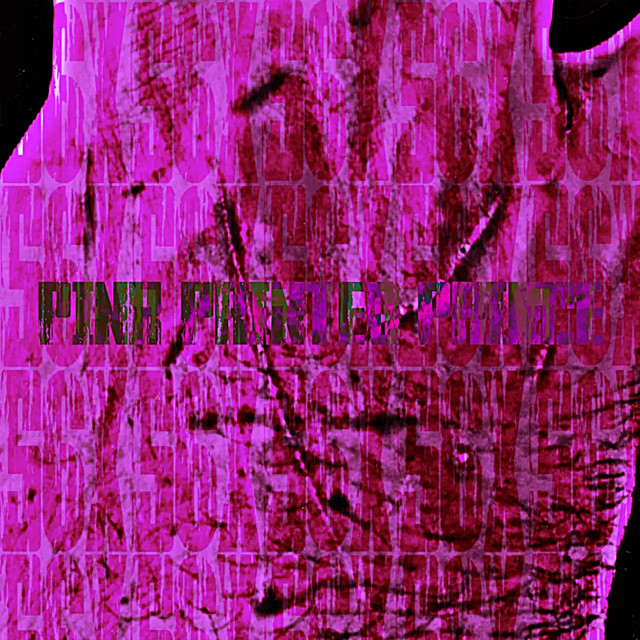 PINK PRINTED PRINCE cover art