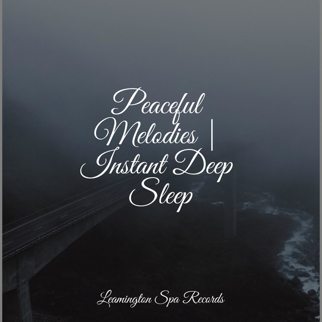 Peaceful Melodies | Instant Deep Sleep - Album by Wellness | Spotify