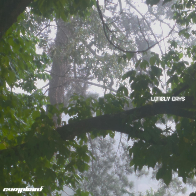 Lonely Days cover