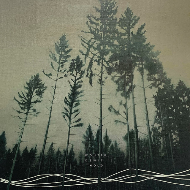Hold cover art