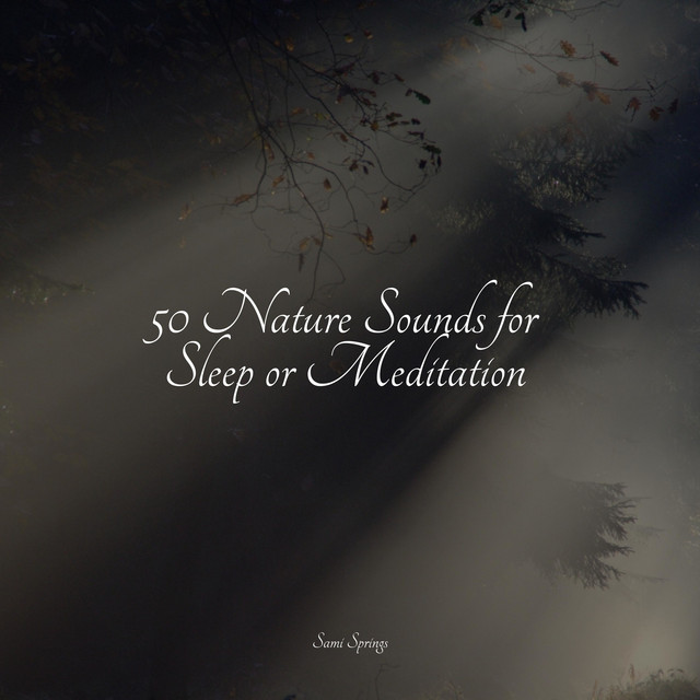 50 Nature Sounds for Sleep or Meditation - Album by Nature Sounds ...