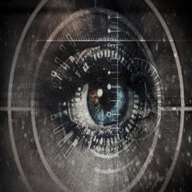 Out of Sight cover art